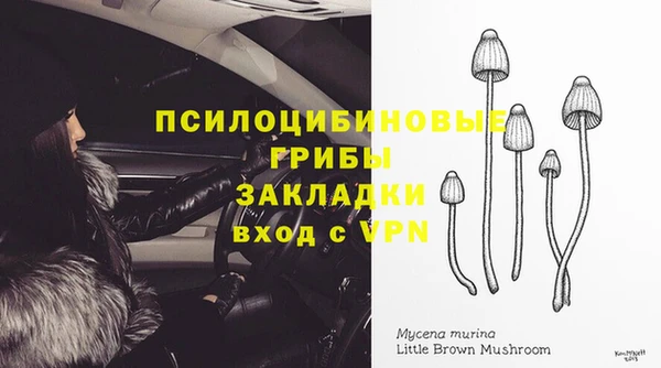 молекула духа Абаза