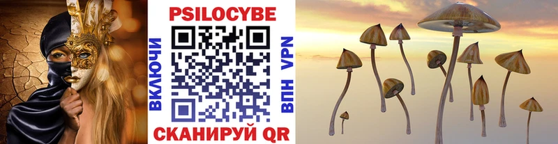 Псилоцибиновые грибы Psilocybe  нарко площадка Telegram  Великий Новгород  ссылка на мегу ТОР 