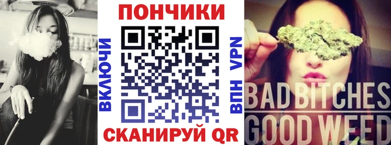 как найти   Великий Новгород  Канабис индика 